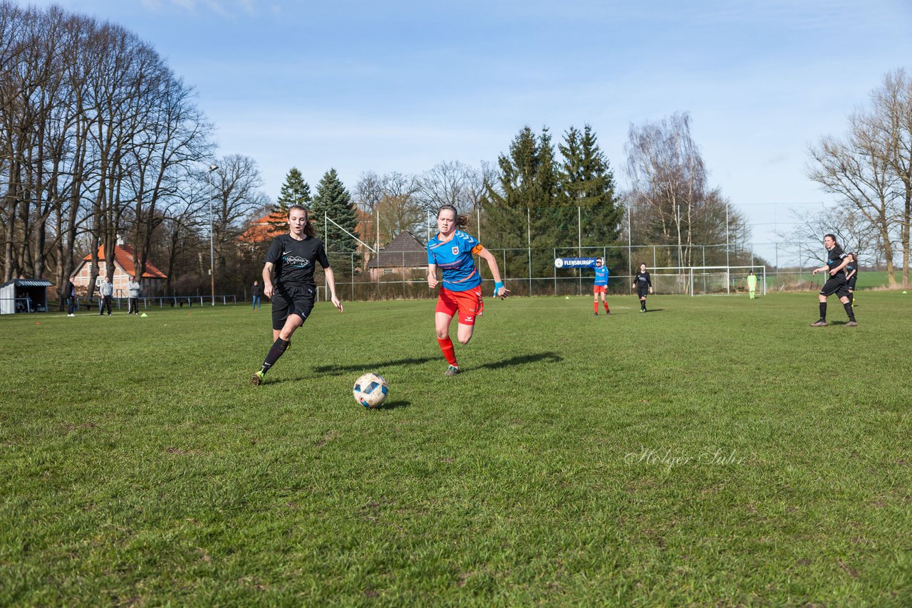 Bild 266 - C-Juniorinnen SV Steinhorst/Labenz - TSV Friedrichsberg-Busdorf : Ergebnis: 5:0